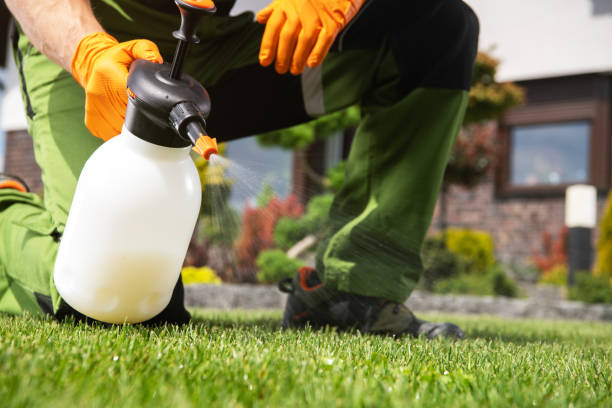 Best Flea Control Services  in Cedar Heights, MD